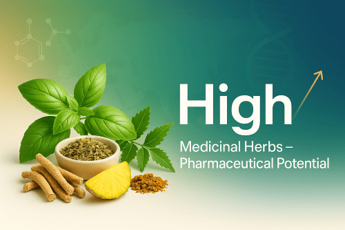 Medicinal Herbs Pharmaceutical potential